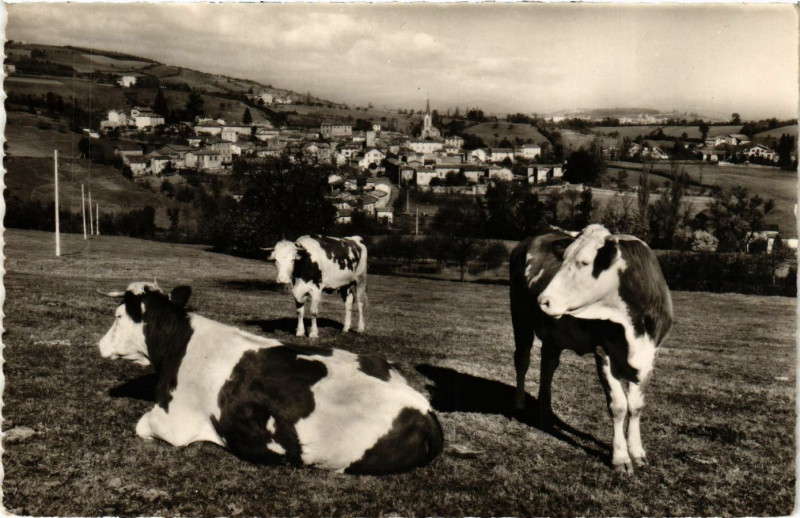 Carte postale ancienne Savigny - Vue générale à Savigny