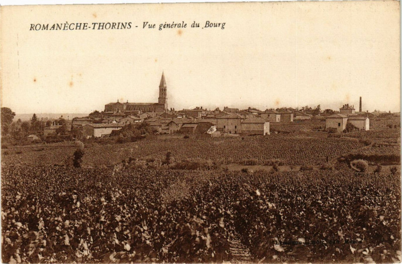 Carte postale ancienne Romaneche-Thorins - Vue générale du Bourg