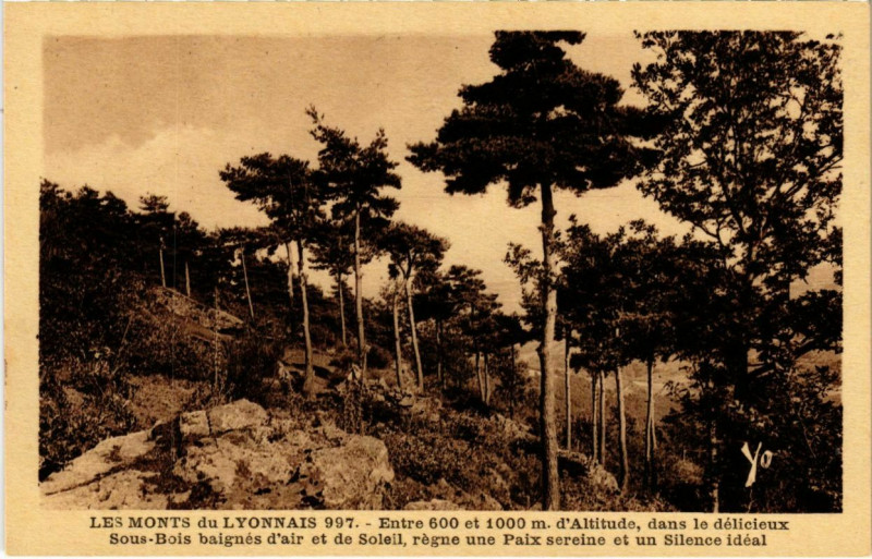 Carte postale ancienne Les Monts du Lyonnais - Dans le Delicieux Sous-Bois Baignes d'Air à Lyon