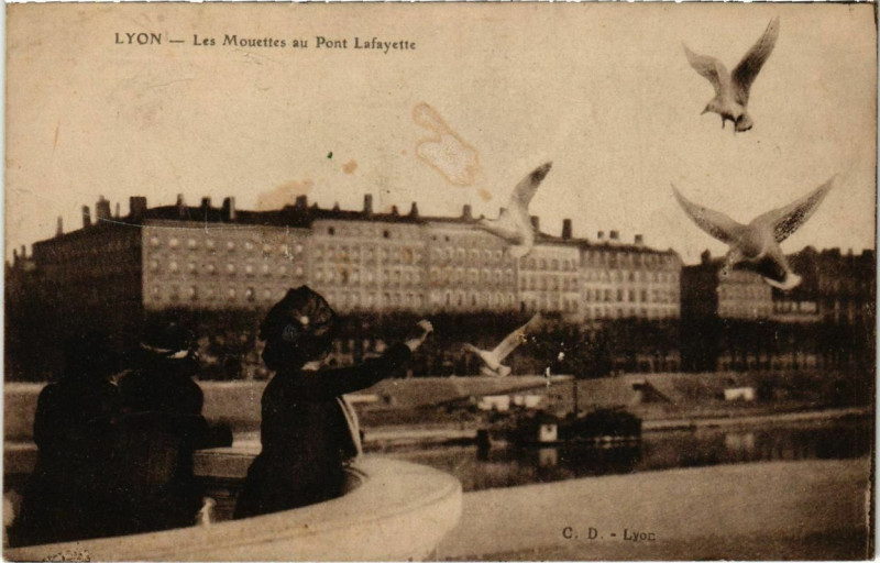 Carte postale ancienne Lyon- Les Mouettes au Pont Lafayette France à Lyon