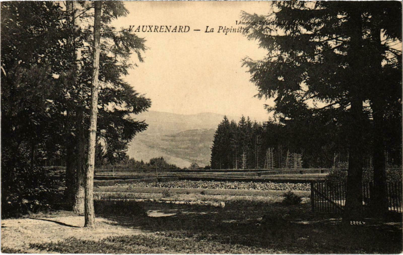 Carte postale ancienne Vauxrenard Le Pepiniere Rhone à Vauxrenard