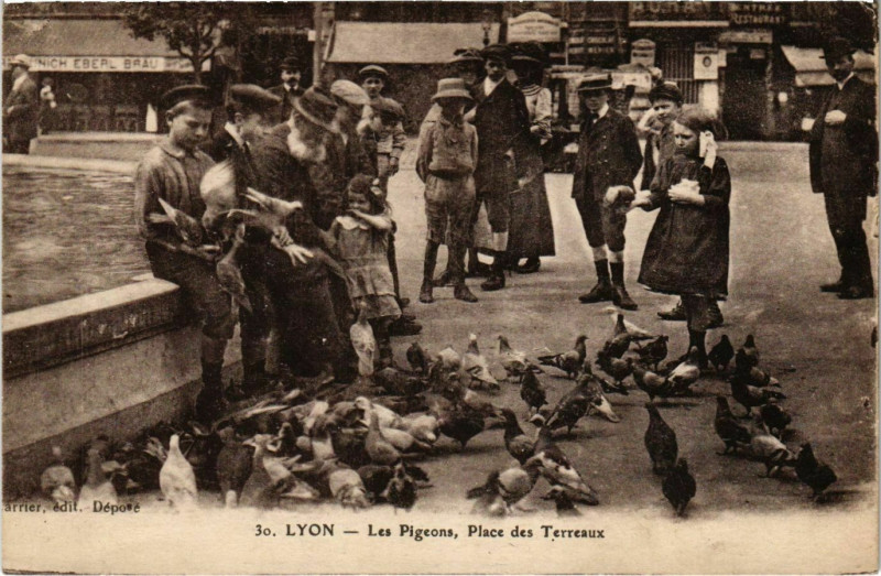 Carte postale ancienne Lyon Les Pigeons Place des Terreaux à Lyon