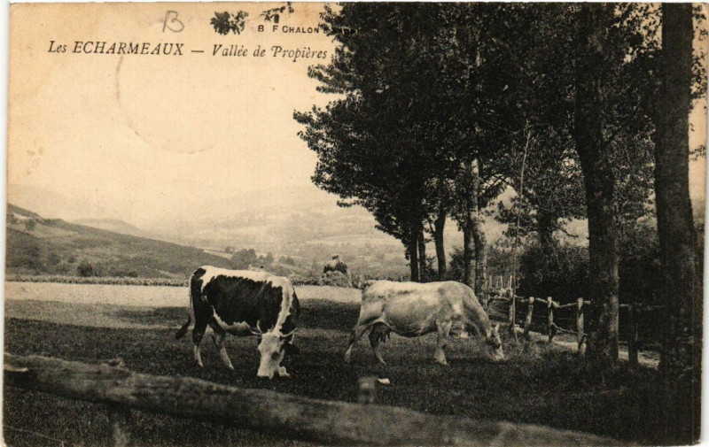 Carte postale ancienne Les Echarmeaux Vallée de Propieres à Propières