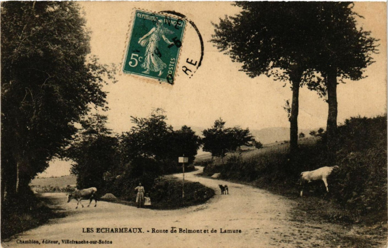 Carte postale ancienne Les Echarmeaux Route de Belmont et de Lamure
