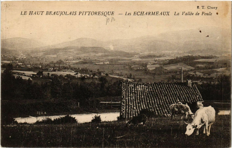 Carte postale ancienne Les Echarmeaux La Vallée de Poule