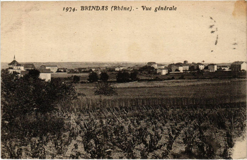Carte postale ancienne Birndas Vue générale