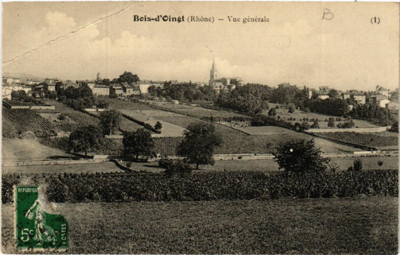 Carte postale ancienne Bois d'Oingt Vue générale