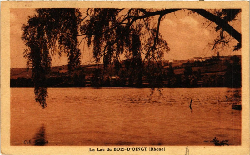 Carte postale ancienne Bois d'Oingt Le Lac