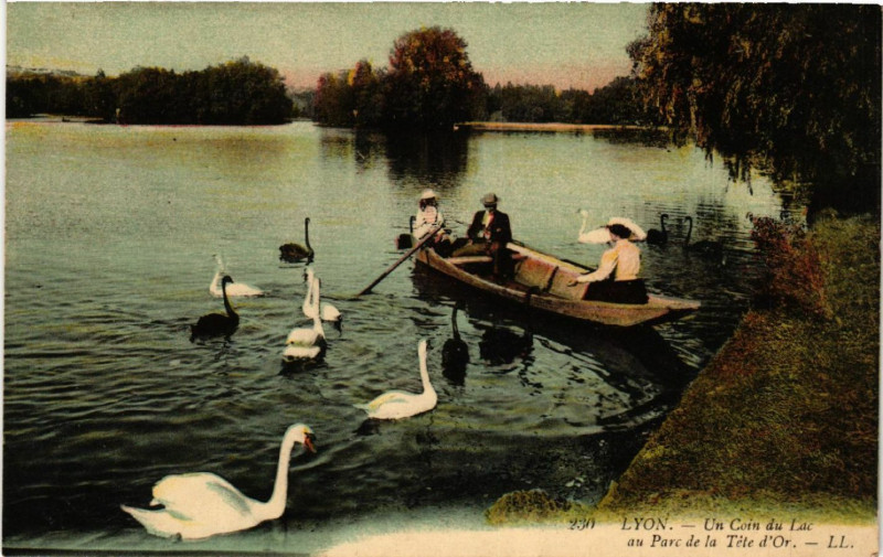 Carte postale ancienne Lyon Un coin du Lac au Parc de la Tete d'Or à Lyon