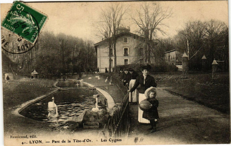 Carte postale ancienne Lyon Parc de la Tete d'Or Les Cygnes à Lyon