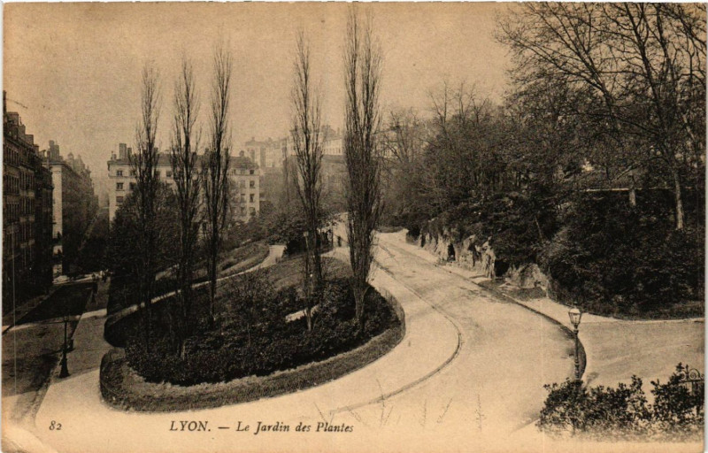 Carte postale ancienne Lyon Le Jardin des Plantes à Lyon