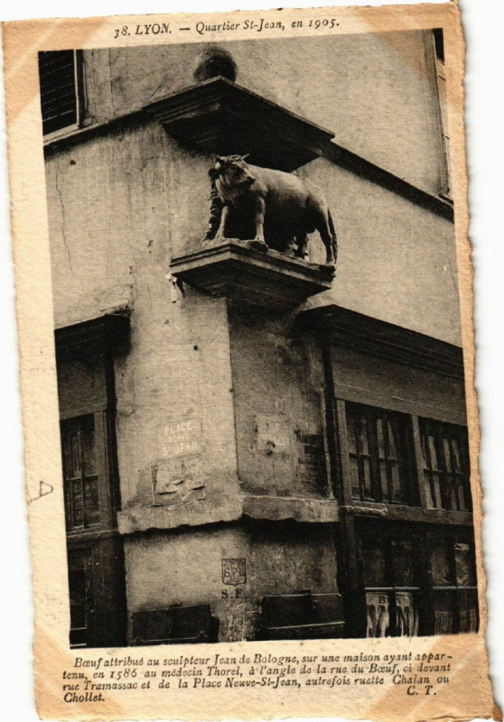 Carte postale ancienne Lyon Boeuf attribue au sculpteur Jean de Bologne à Lyon