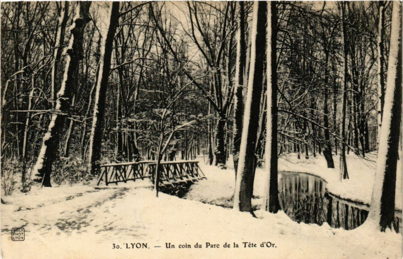 Carte postale ancienne Lyon-Un coin du Parc de la Tete d'Or à Lyon