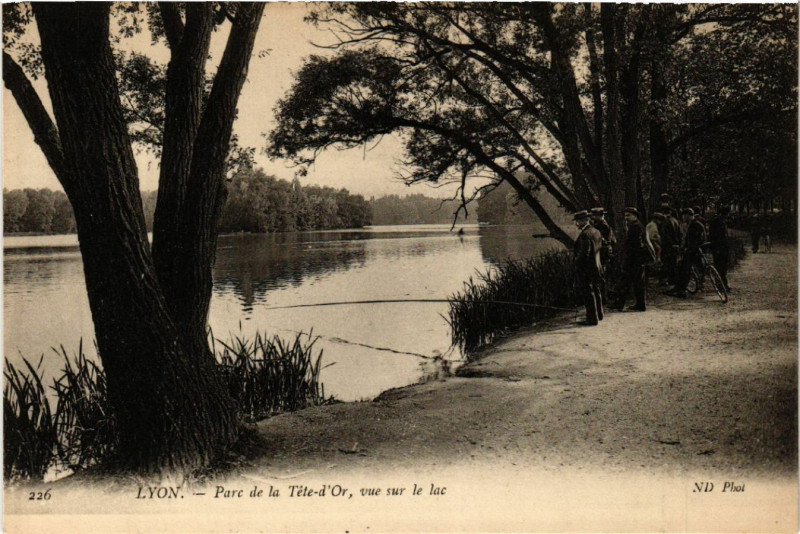 Carte postale ancienne Lyon-Parc de la Tete d'Or vue sur le lac à Lyon