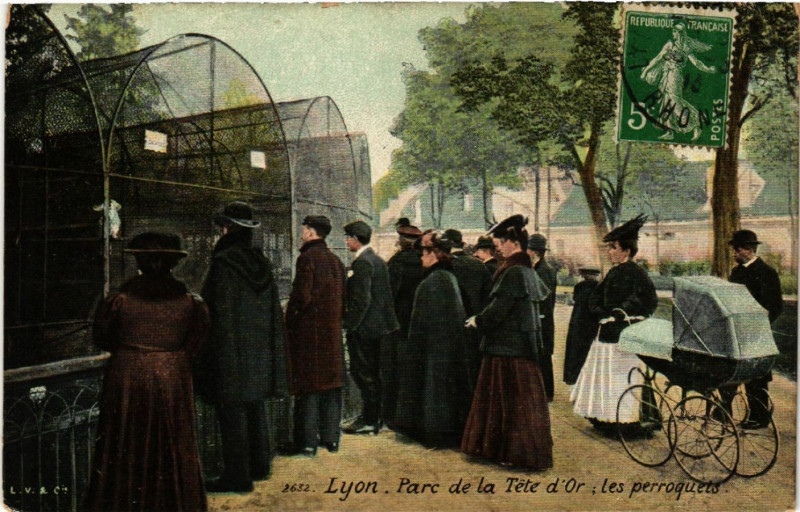 Carte postale ancienne Lyon-Parc de la Tete d'Or Les perroquets à Lyon