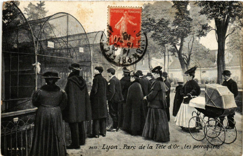 Carte postale ancienne Lyon-Parc de la Tete d'Or les perroquets à Lyon