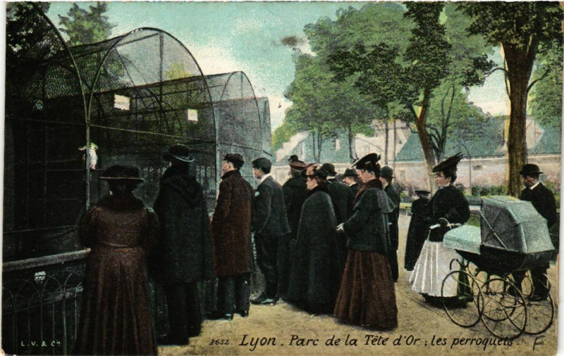Carte postale ancienne Lyon-Parc de la Tete d'Or les perroquets à Lyon
