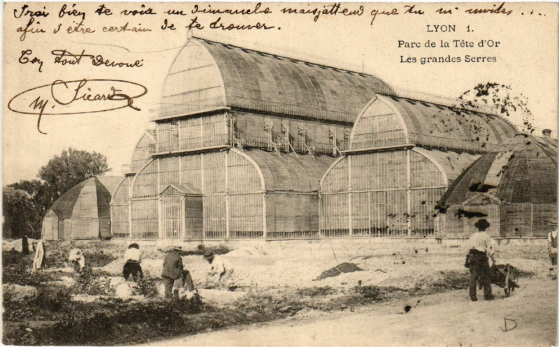 Carte postale ancienne Lyon-Parc de la Tete d'Or Les grandes Serres à Lyon