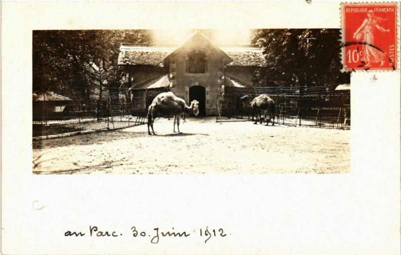 Carte postale ancienne Lyon-Parc de la Tete d'Or à Lyon