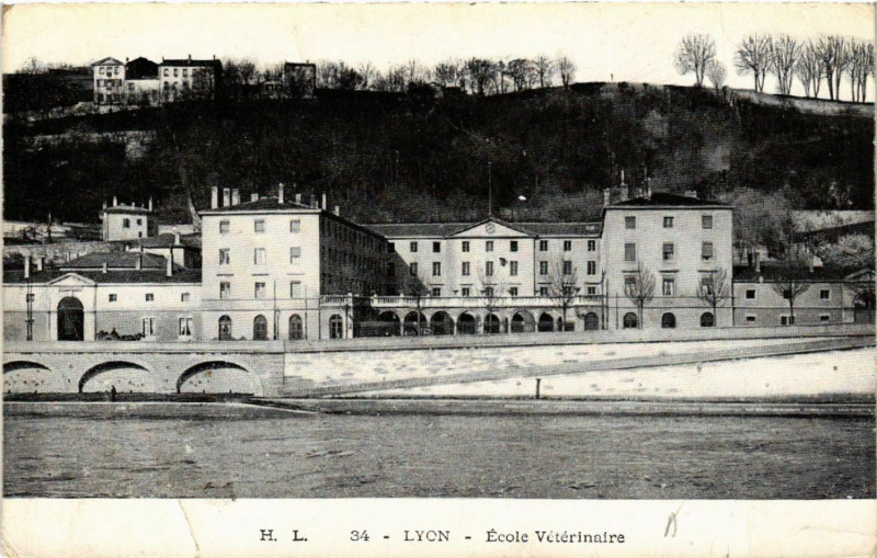 Carte postale ancienne Lyon-Ecole Veterinaire à Lyon