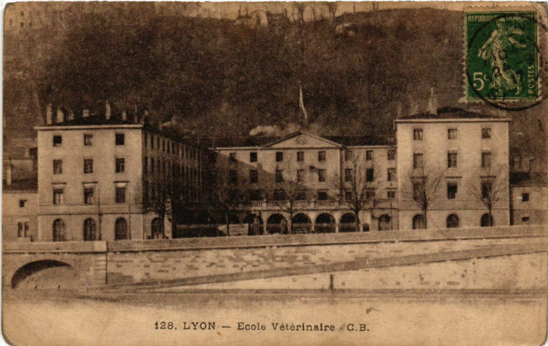 Carte postale ancienne Lyon-Ecole Veterinaire à Lyon