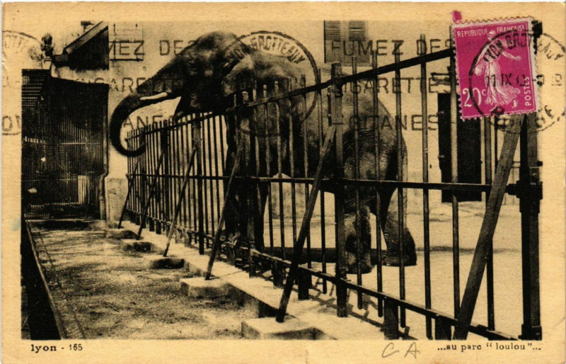 Carte postale ancienne Lyon-Au parc loulou à Lyon