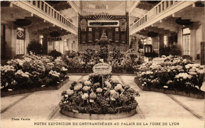 Carte postale ancienne Foire de Lyon Notre Exposition de Chrysanthemes au Palais à Lyon