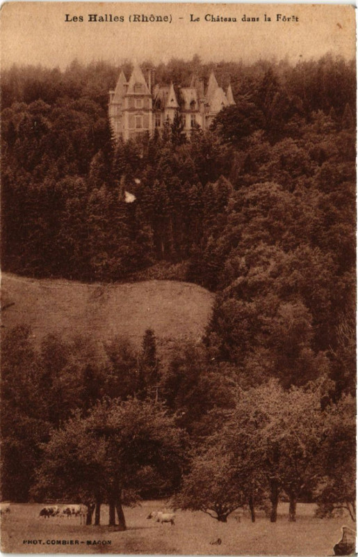 Carte postale ancienne Les Halles - Le Chateau dans la Foret aux Halles