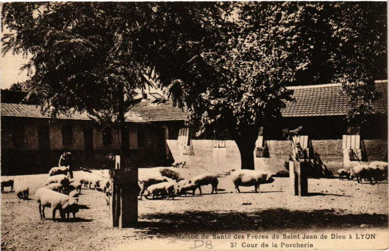 Carte postale ancienne Lyon-Maison de Sante des Freres de St-Jean de Dieu a Lyon à Lyon
