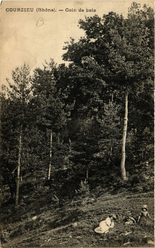 Carte postale ancienne Condrieu - Coin de bois à Condrieu