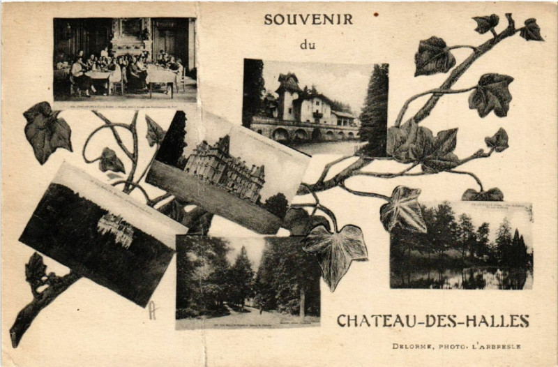 Carte postale ancienne Souvenir du Chateau-des-Halles