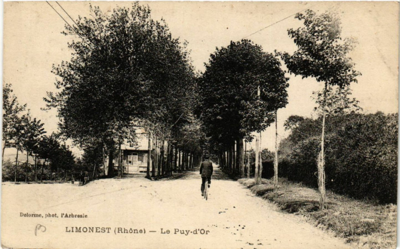 Carte postale ancienne Limonest Le Puy-d'Or à Limonest