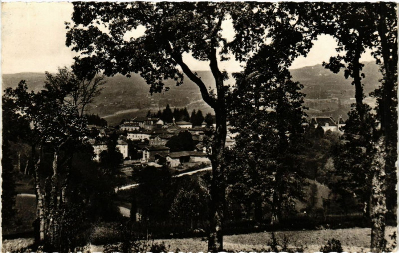 Carte postale ancienne Larajasse dans son cadre de verdure à Larajasse