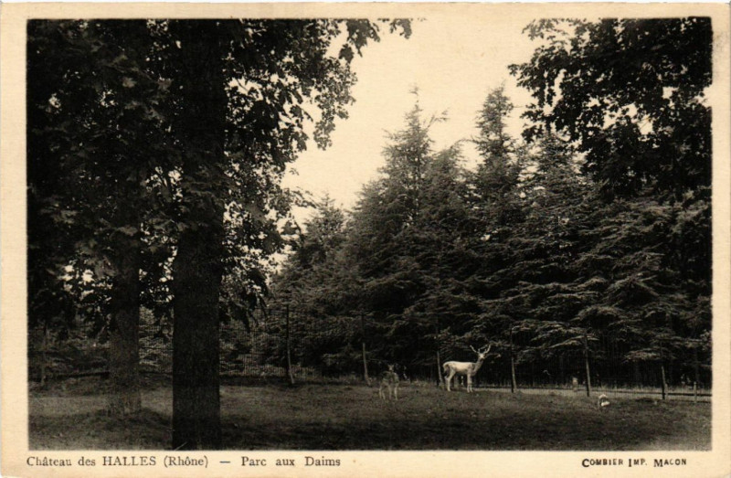 Carte postale ancienne Chateau des Halles parc aux Daims