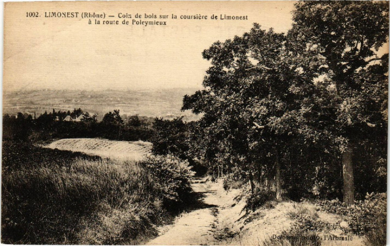 Carte postale ancienne Limonest Coin de bois sur la coursiere de Limonest à Limonest