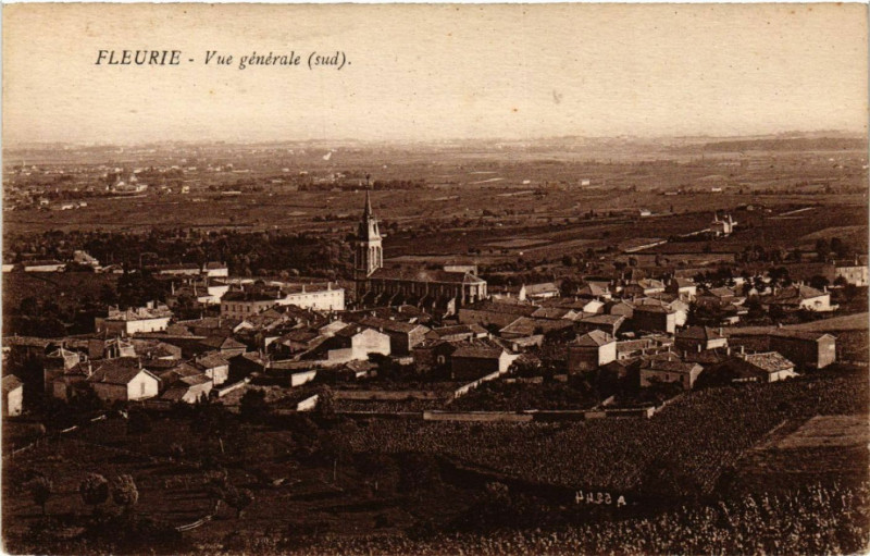 Carte postale ancienne Fleurie vue générale sud à Fleurie