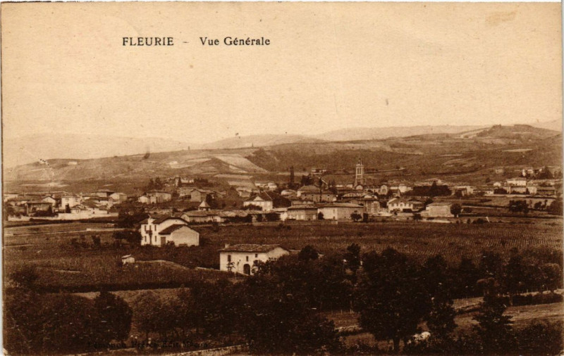Carte postale ancienne Fleurie vue générale à Fleurie