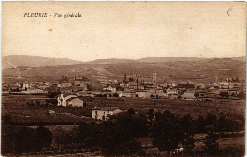 Carte postale ancienne Fleurie vue générale à Fleurie