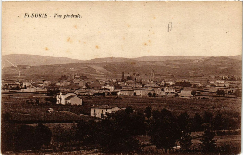 Carte postale ancienne Fleurie vue générale à Fleurie