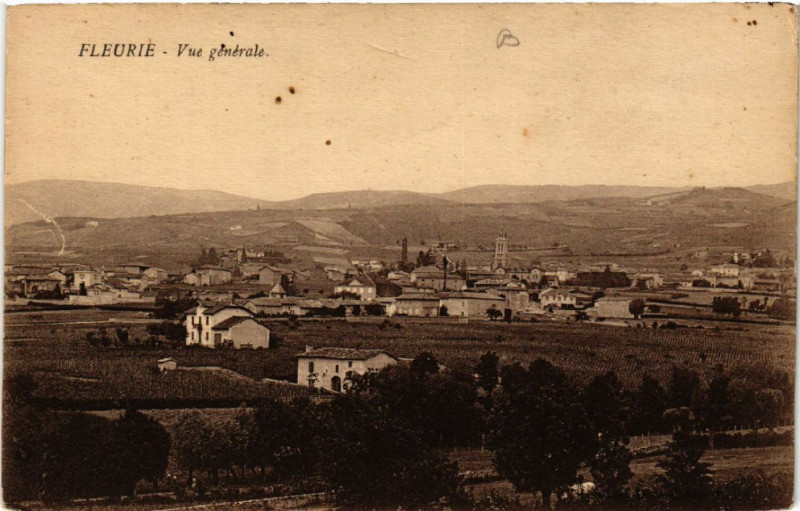 Carte postale ancienne Fleurie vue générale à Fleurie