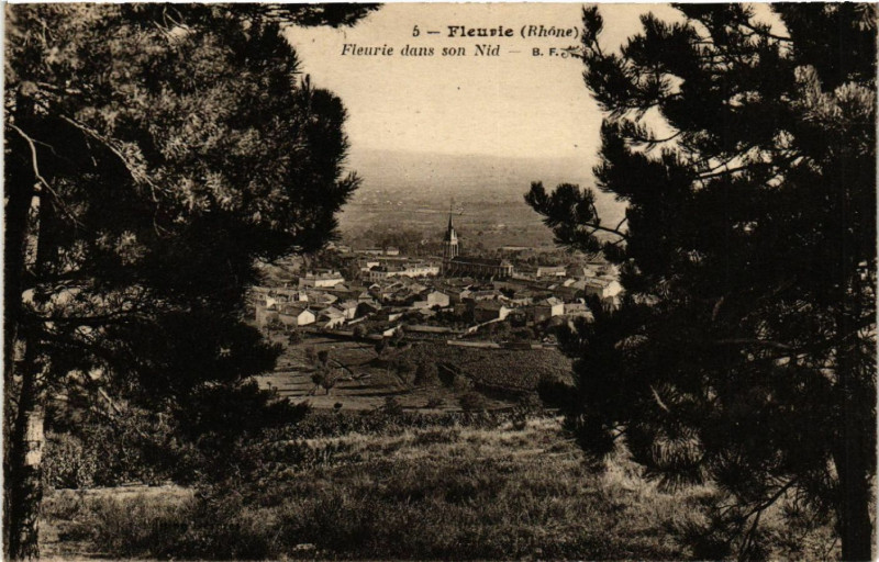 Carte postale ancienne Fleurie dans son Nid à Fleurie