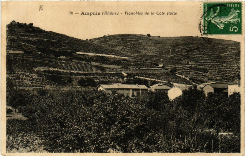 Carte postale ancienne Ampuis Vignobles de la Cote Rtie à Ampuis