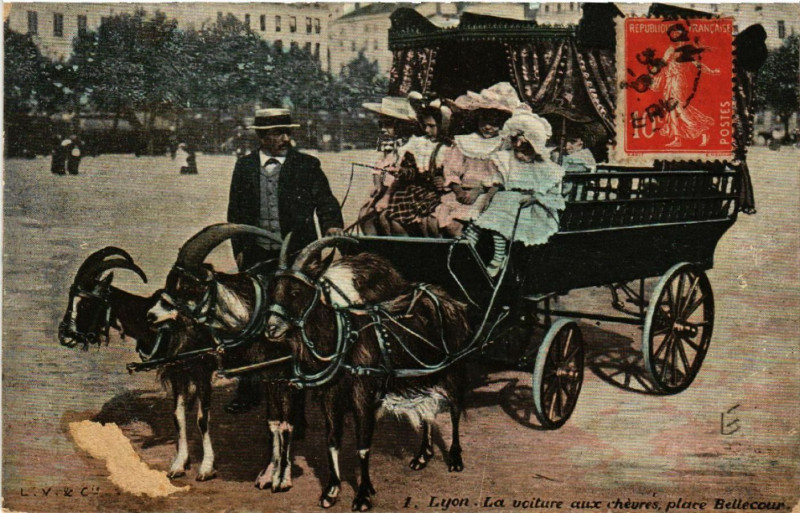 Carte postale ancienne Lyon - La voitre aux Chevres Place Bellecour à Lyon