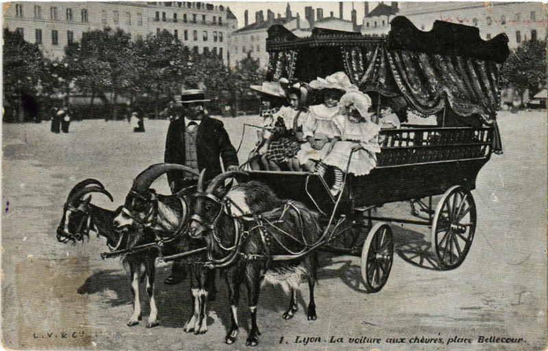 Carte postale ancienne Lyon - La Voiture aux Chevres à Lyon
