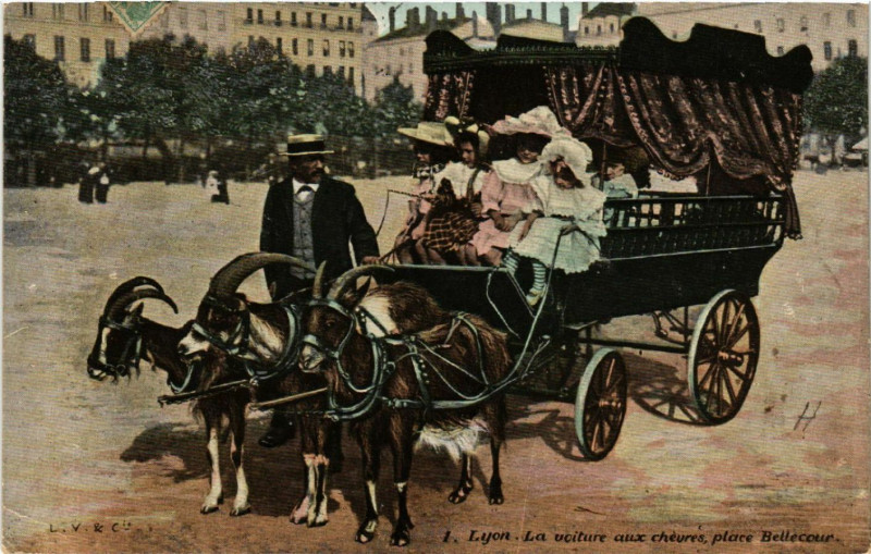 Carte postale ancienne Lyon - La Voiture aux Chevres à Lyon