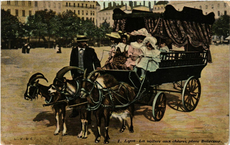 Carte postale ancienne Lyon - La Voiture aux Chevres à Lyon