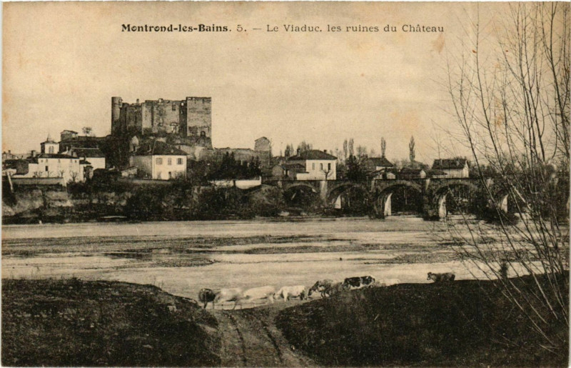 Carte postale ancienne Montrond-les-Bains - Le Viaduc - Les Ruines du Chateau France à Montrond-les-Bains