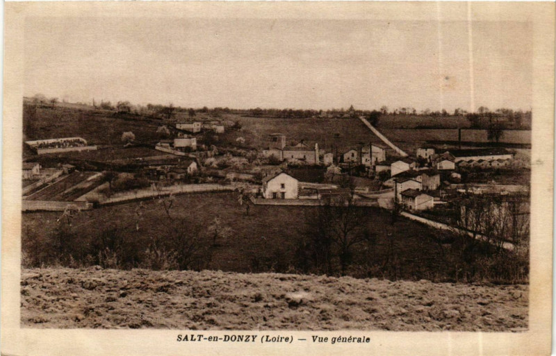 Carte postale ancienne Salt-en-Donzy - Vue Generale France à Salt-en-Donzy