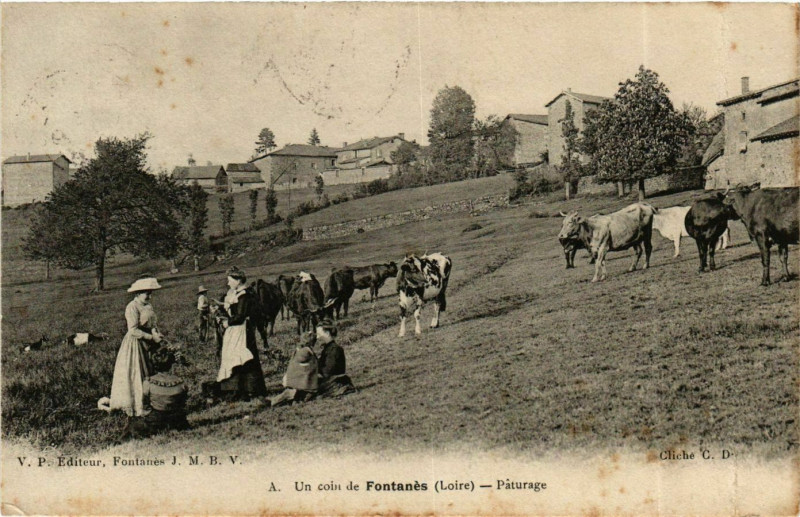 Carte postale ancienne Fontanes - Un Coin de Fontanes - Paturage France à Fontanès