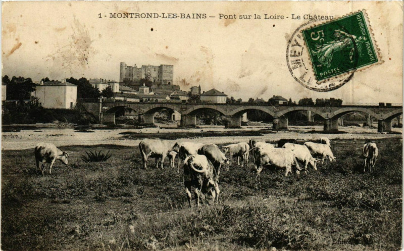 Carte postale ancienne Montrond-les-Bains - Pont sur la Loire - Le Chateau France à Montrond-les-Bains